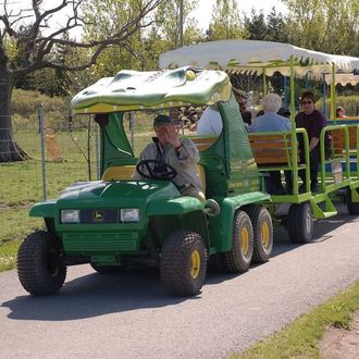 tram driver waving at niagara safari park