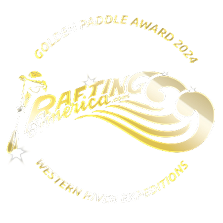 Golden Paddle Award logo. Gold and white stylized design with text, a river, and a paddler figure.