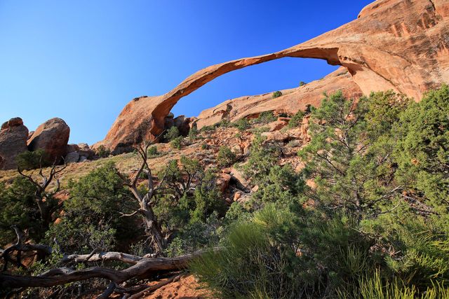 Fun & Interesting Facts about Arches National Park