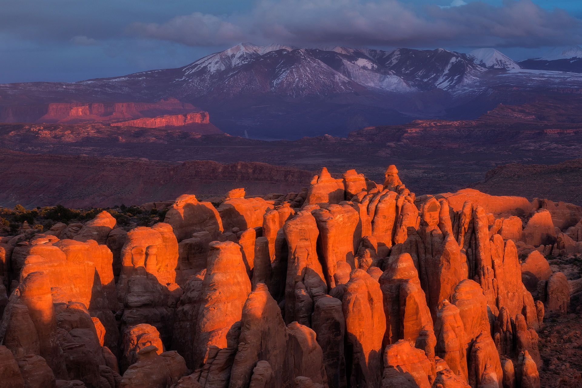 Orange sandstone formations in a desert landscape lit by golden sunlight, with snowy mountains in the background.