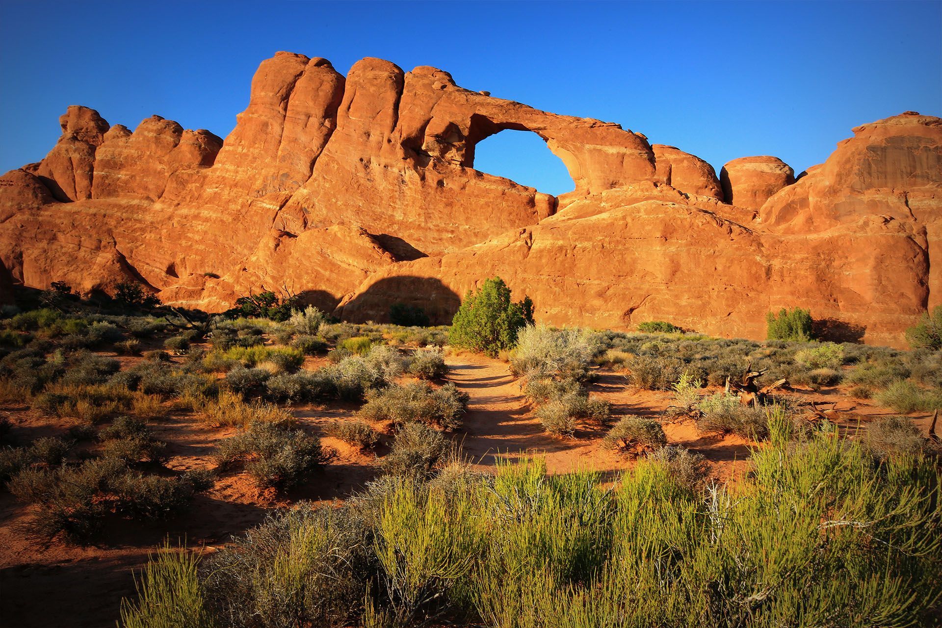 Landscape Arch in Utah desert landscape with blue sky.