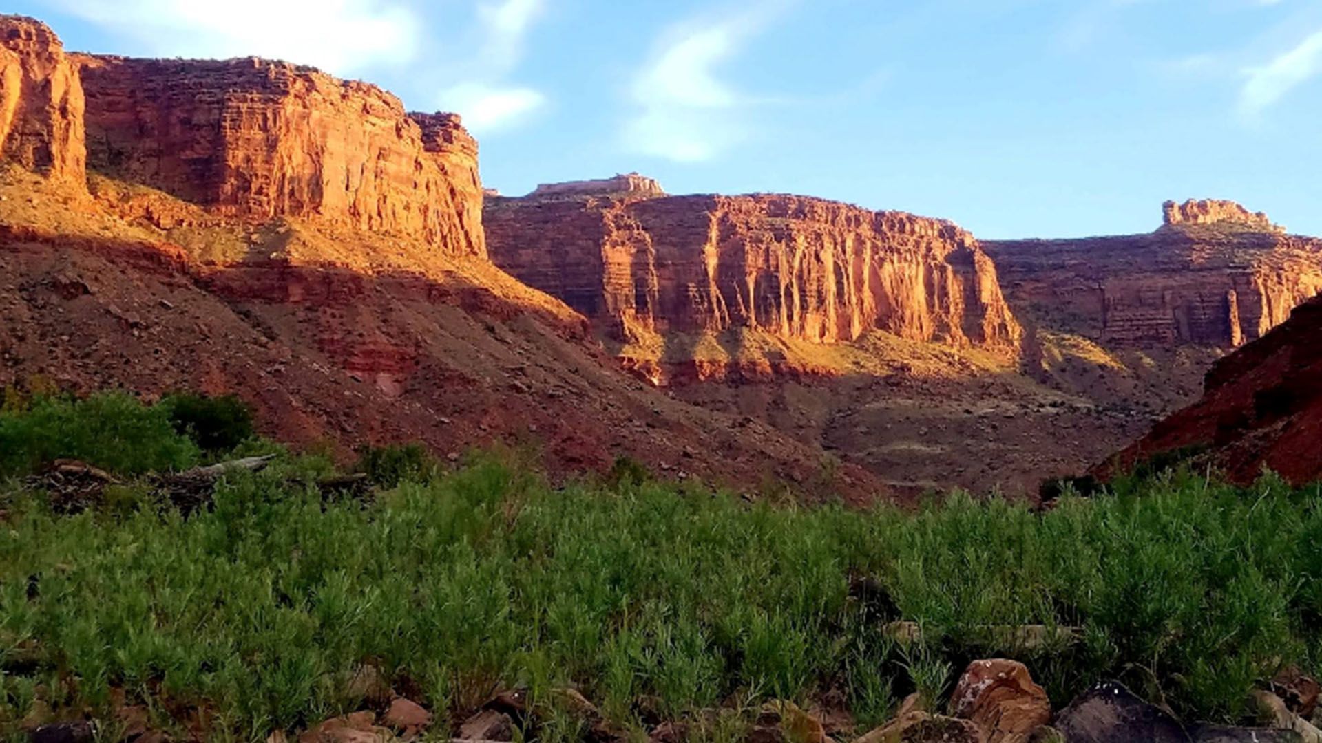Red rock canyon with green foliage in foreground, lit by sunlight.