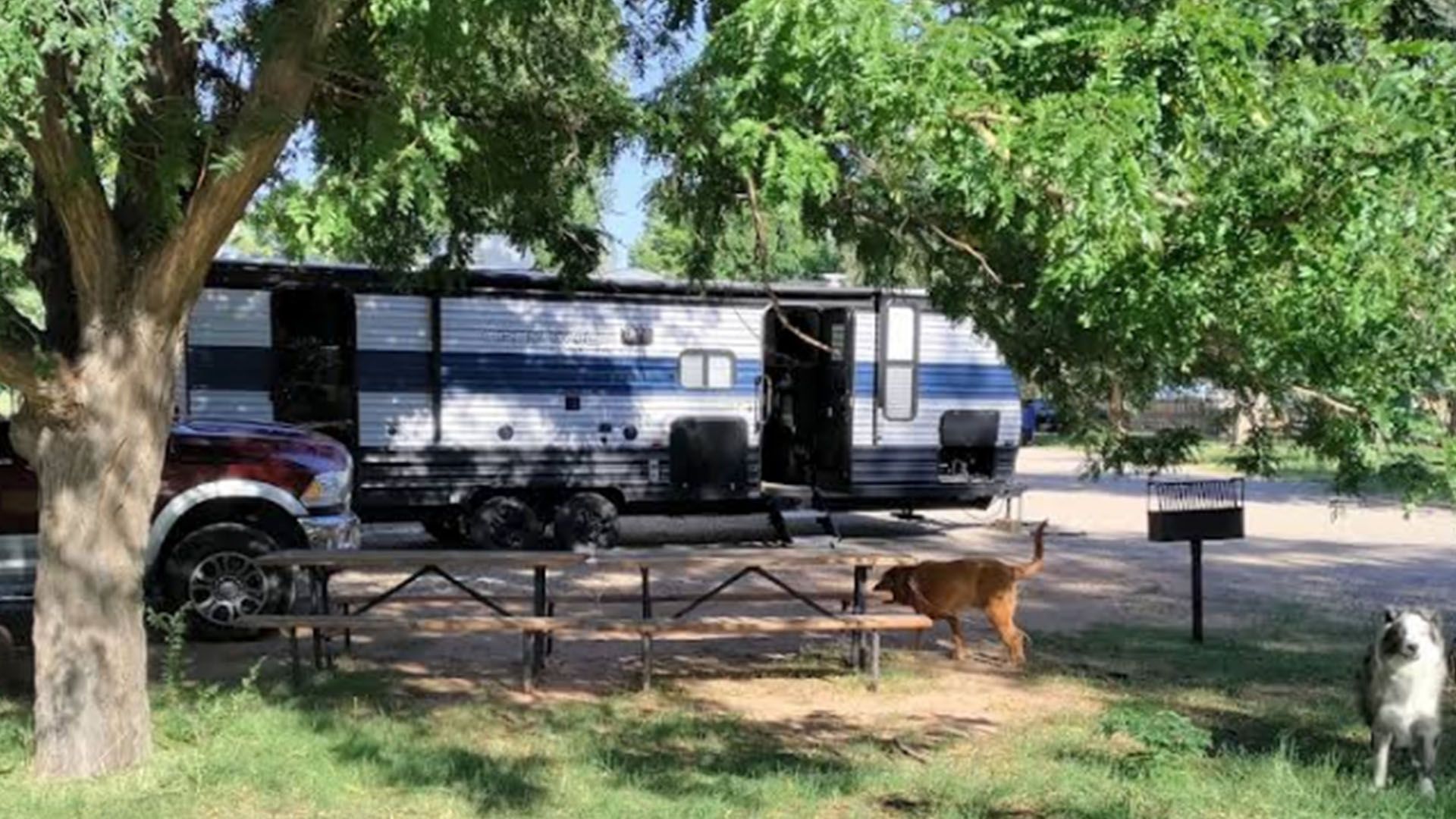 RV parked in a grassy campsite with dogs, picnic table, and a red truck.
