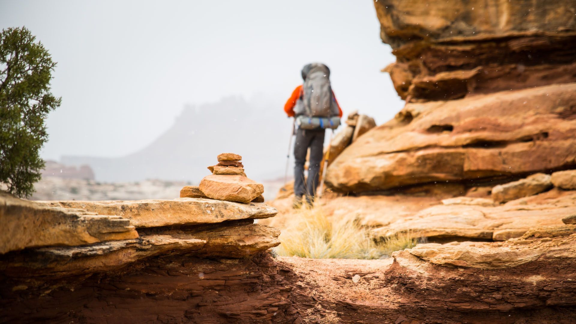 A backpacker walks along a trail with sandstone cliffs to the side.