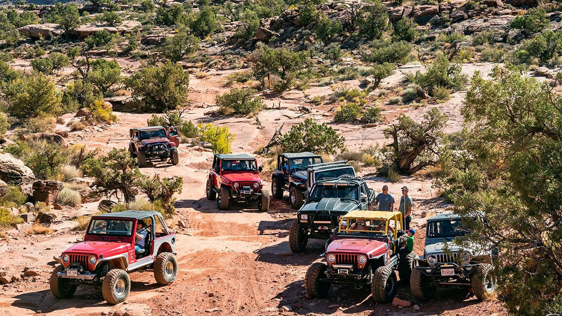 Jeeps off-roading on a dusty trail in a desert landscape with scattered trees and shrubs.