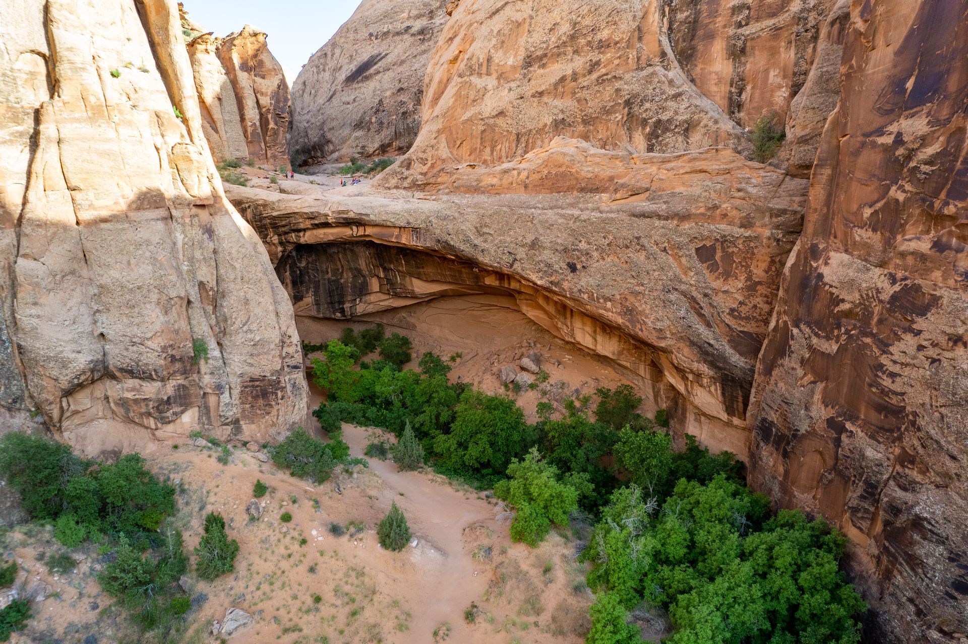 A sandstone arch spans a canyon, with green vegetation below and light brown rock walls.