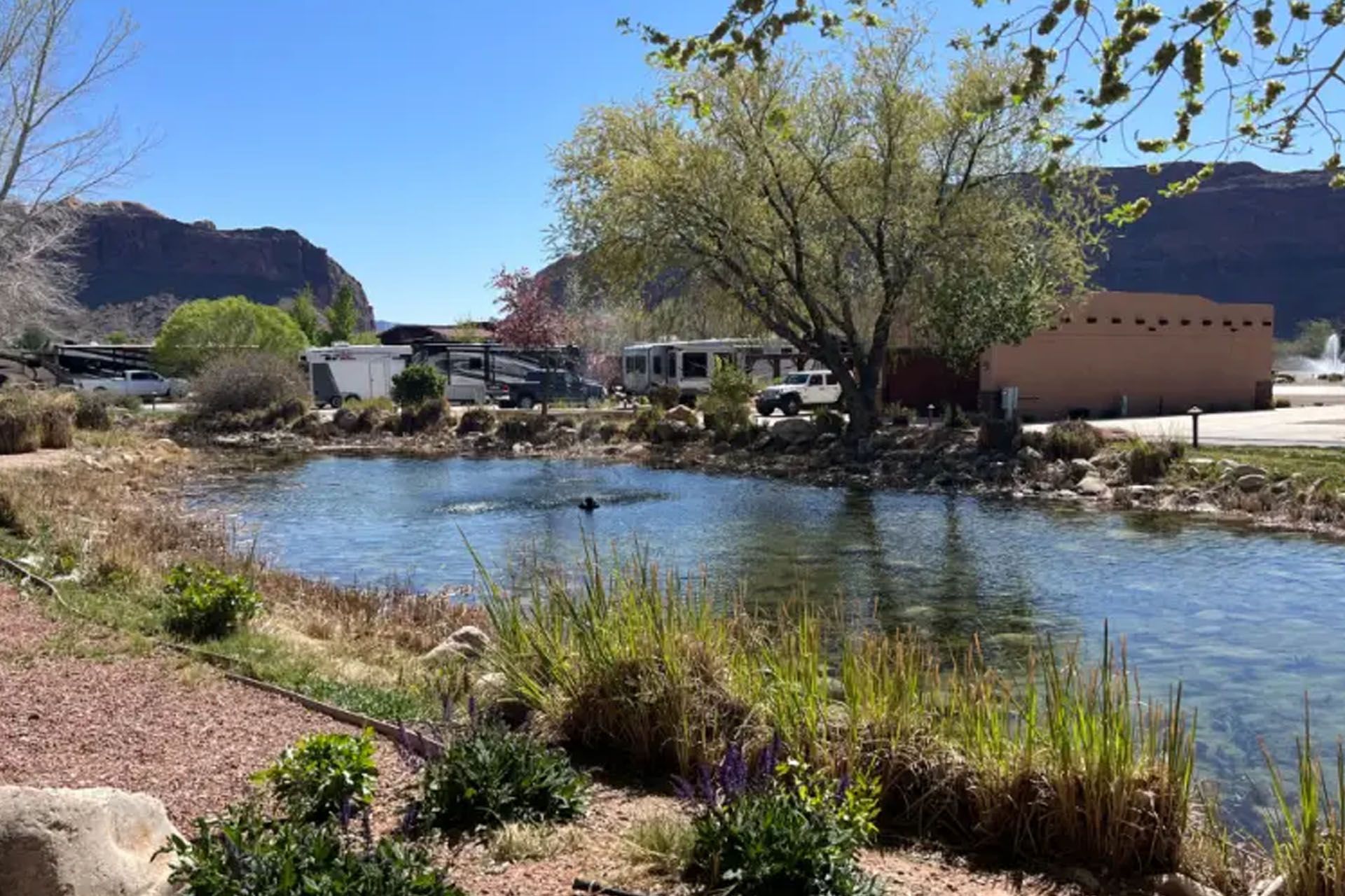 Pond with fountain, surrounded by greenery, RVs in the background, clear blue sky.