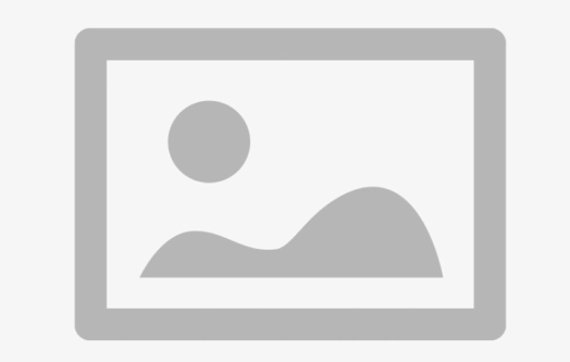 Gray graphic of a landscape with a sun in the sky, framed by a rectangle.