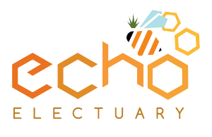 Logo for Echo Electuary: Orange honeycomb letters, bee with honeycomb wings, green plant, orange and blue elements.