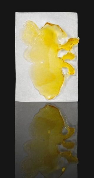 Yellow cannabis concentrate on white parchment paper, with reflection.