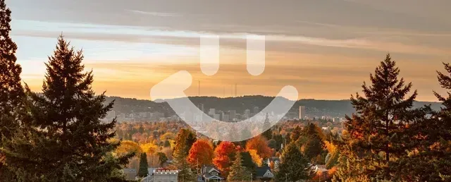 Autumn landscape with trees, city, and sunset in background.