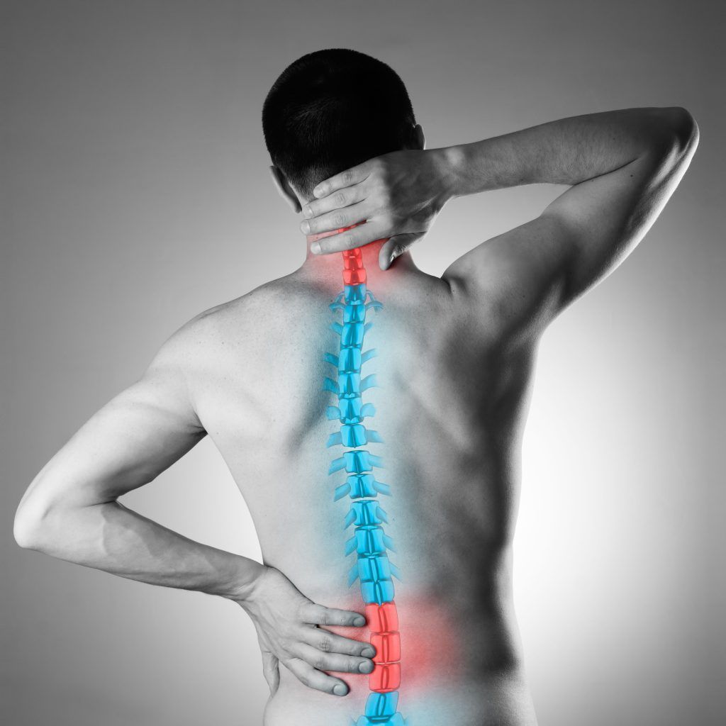Spine Health | Charleston, SC | Axis Chiropractic