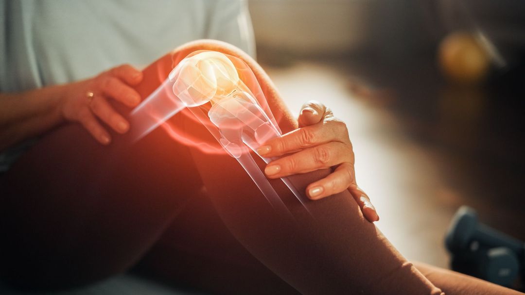 Ortho Rehab Centro di Ortopedia e Riabilitazione