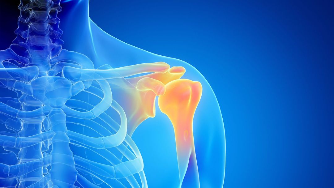 Ortho Rehab Centro di Ortopedia e Riabilitazione