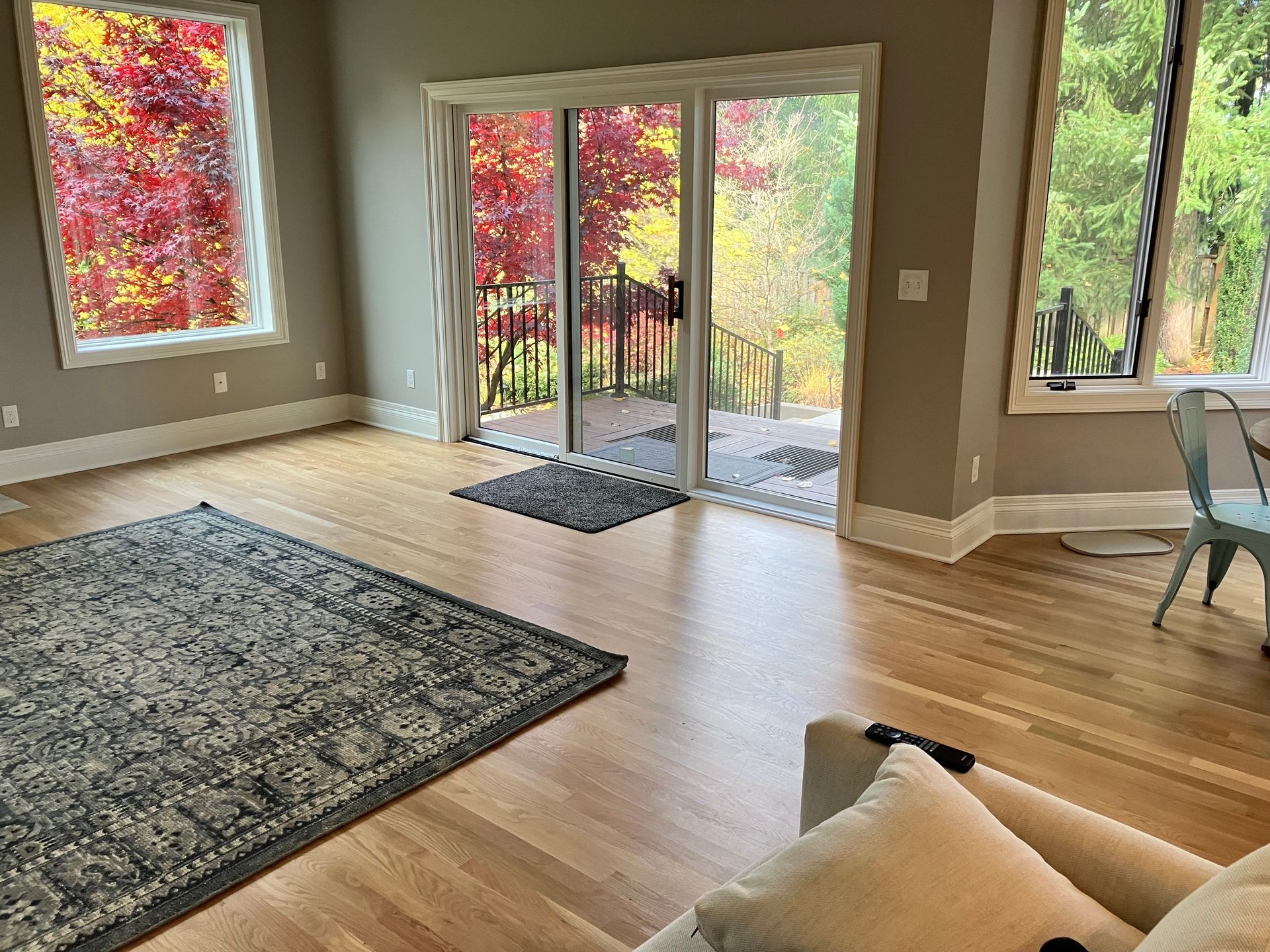 Spacious room with a rug, hardwood floors, and large windows with views of fall foliage.