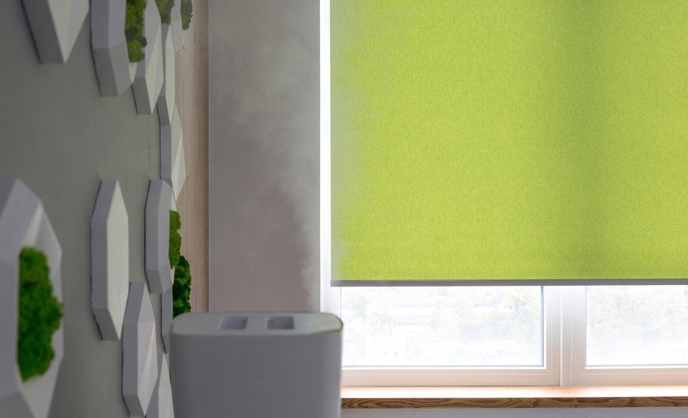 Green Automated Roller Blinds In Office — Studio Curtains & Blinds in Mount Gravatt, QLD