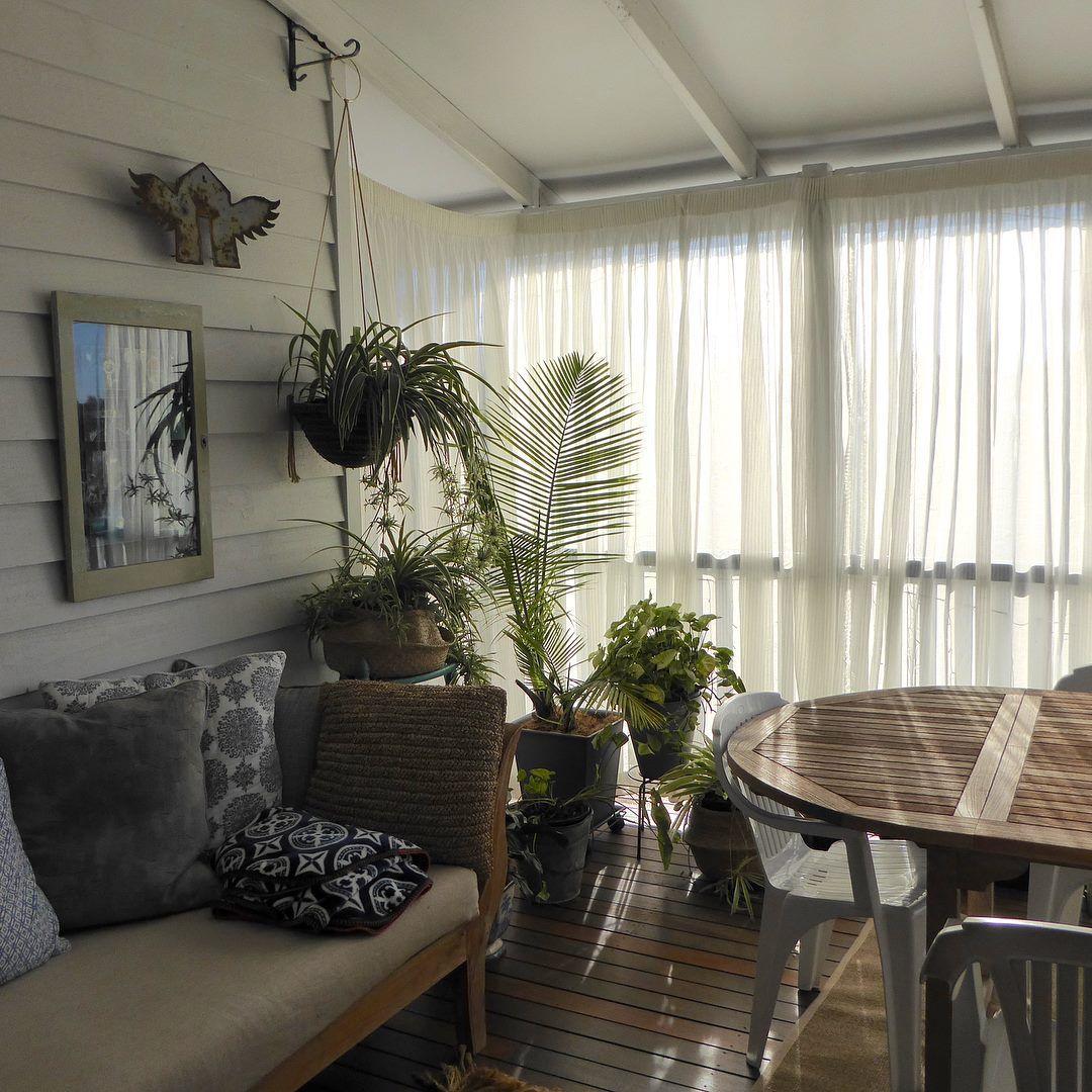 Cozy Living Room With Plants — Studio Curtains & Blinds in Mount Gravatt, QLD