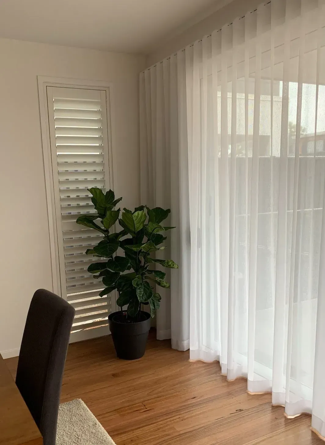 A Living Room With a Potted Plant and White Curtains — Studio Curtains & Blinds in Mount Gravatt, QLD