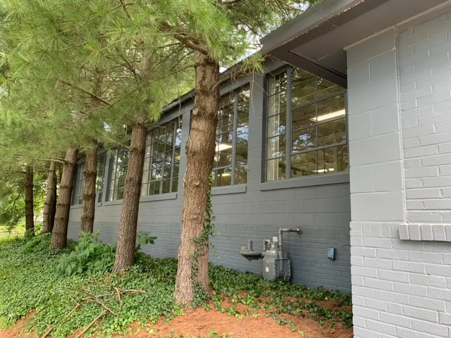 A building with a lot of windows and trees in front of it.
