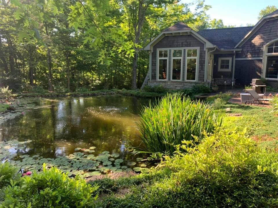 A house with a pond in front of it surrounded by trees.