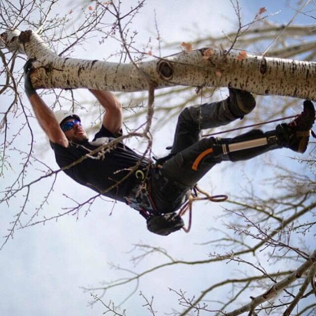 Tree climbing and trimming
