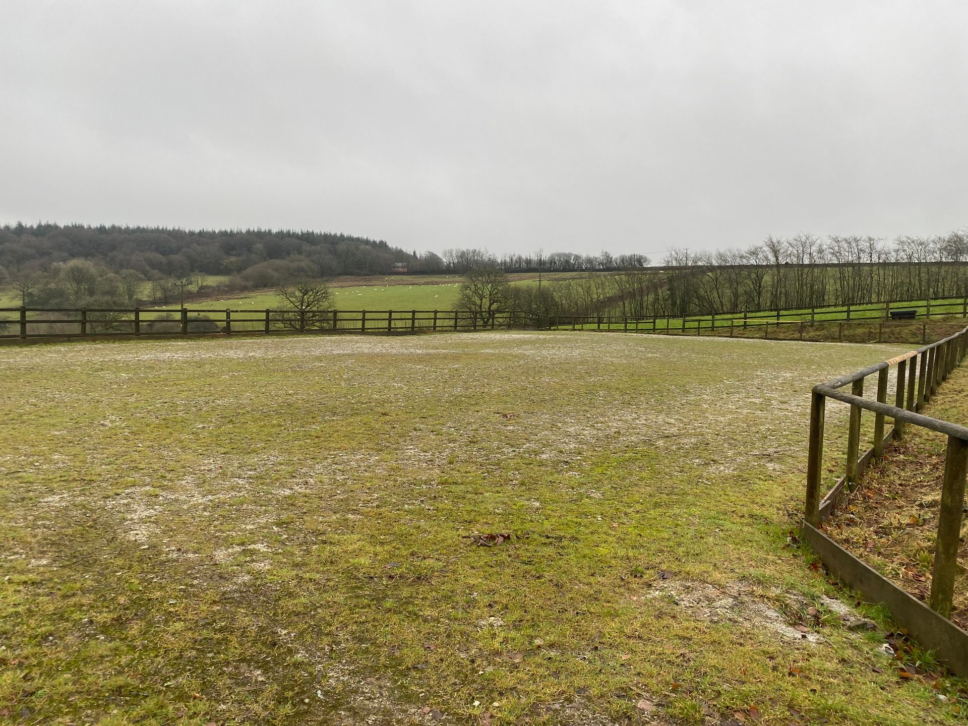 Grassy paddock with wooden fence, trees, and cloudy sky.
