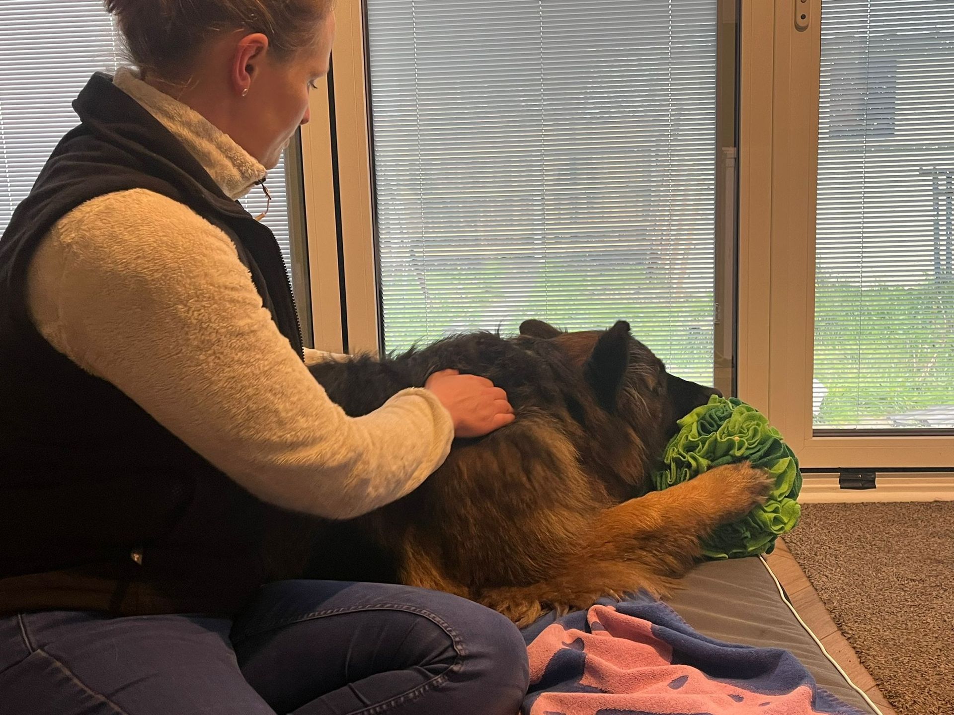 Woman petting a long-haired dog, which holds a green toy. Indoors, near window.
