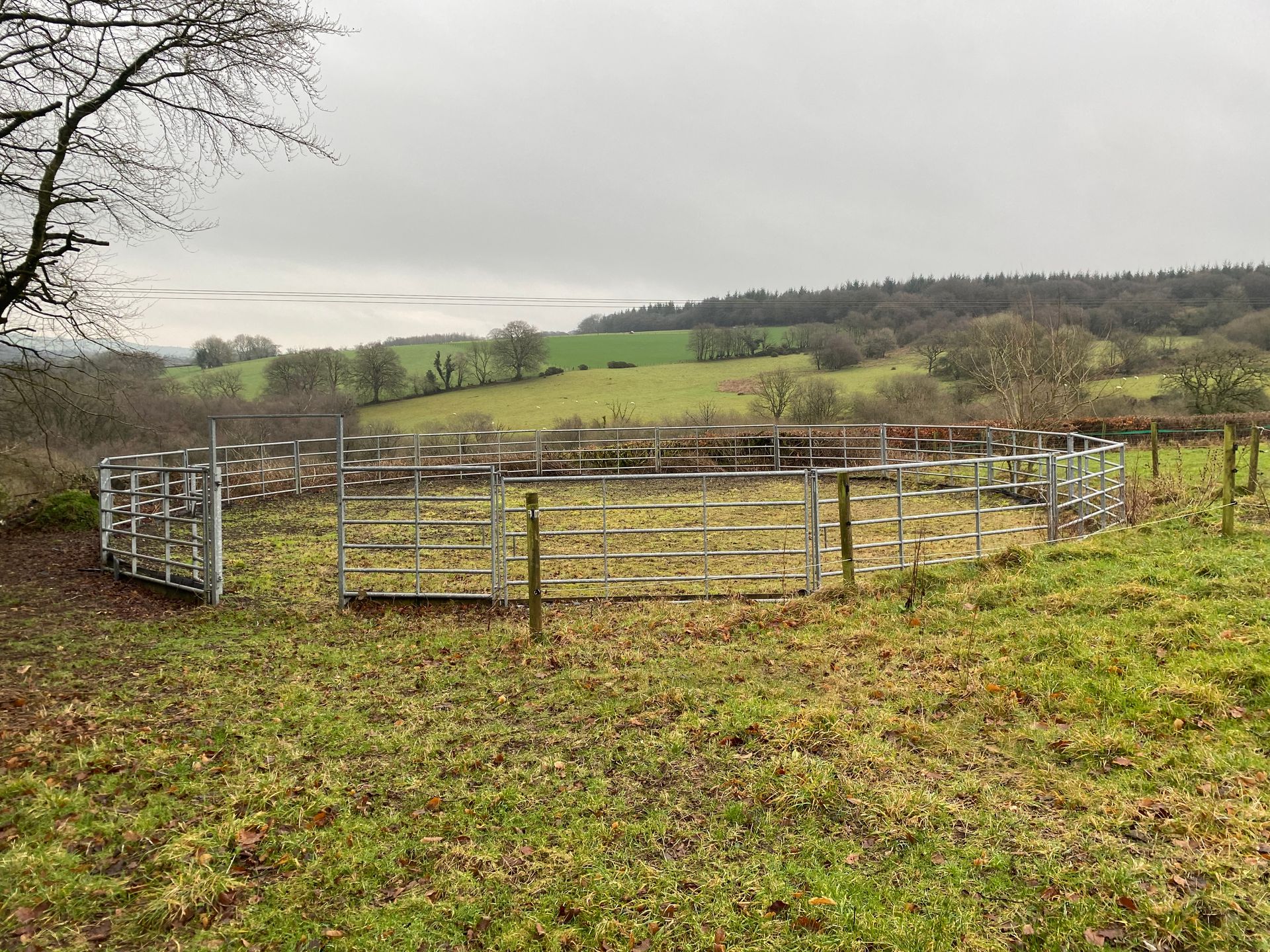 Metal farm gates in a grassy enclosure, overlooking a rolling green landscape under an overcast sky.