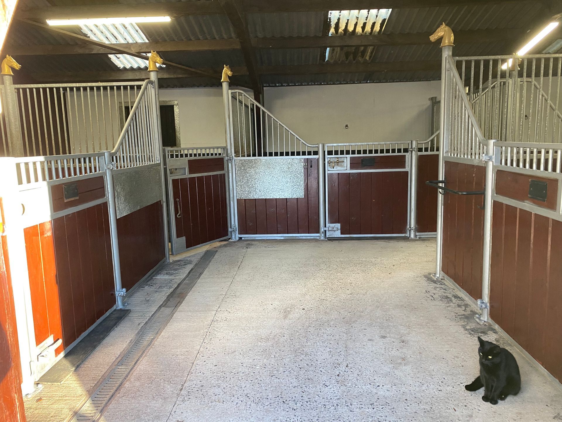 An empty stable with brown and silver stalls. A black cat sits on the floor.