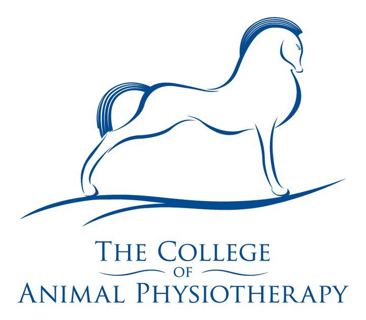 Blue outline of a horse on a logo for The College of Animal Physiotherapy.