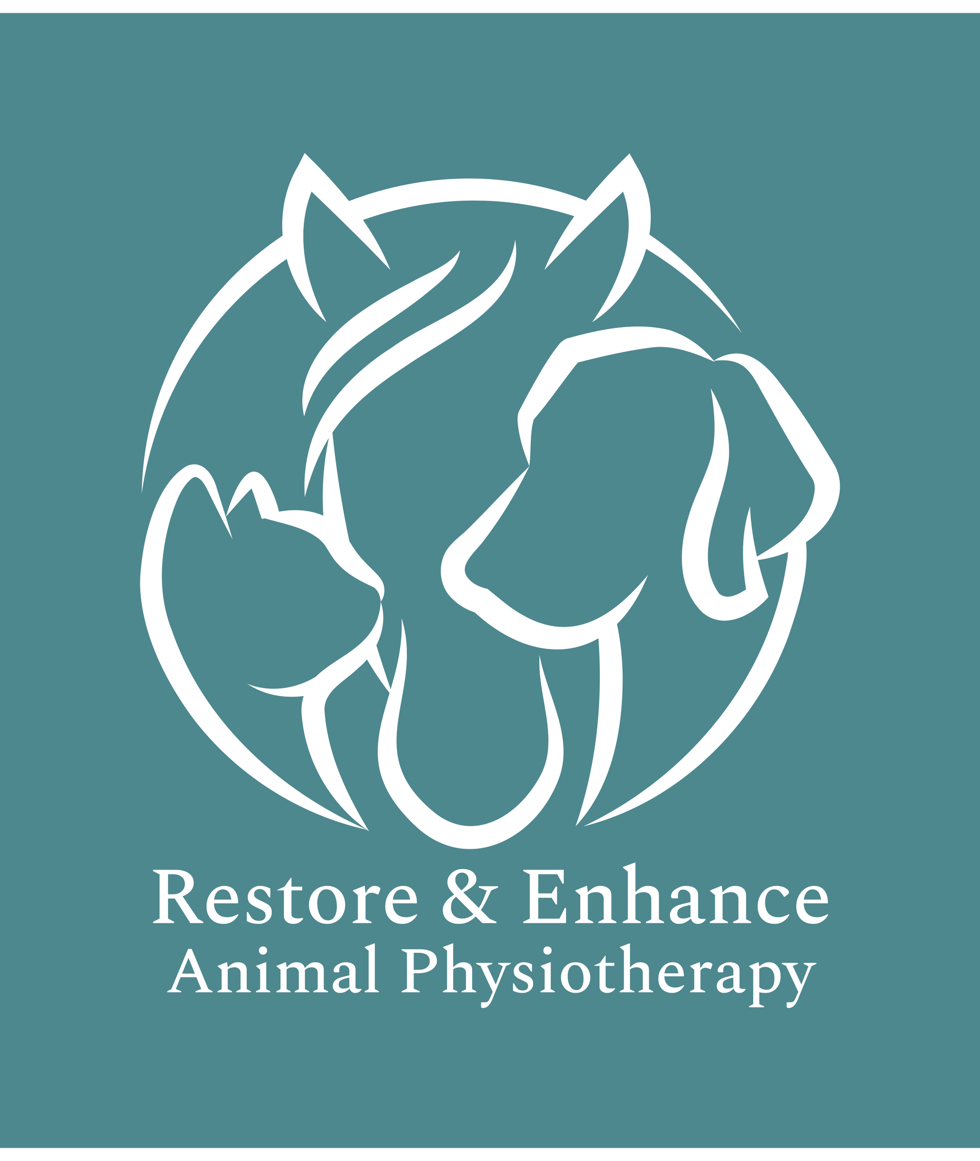 Restore & Enhance Animal Physiotherapy Logo on a teal background.