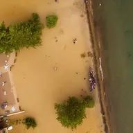 An aerial view of a flooded area with trees and a body of water.