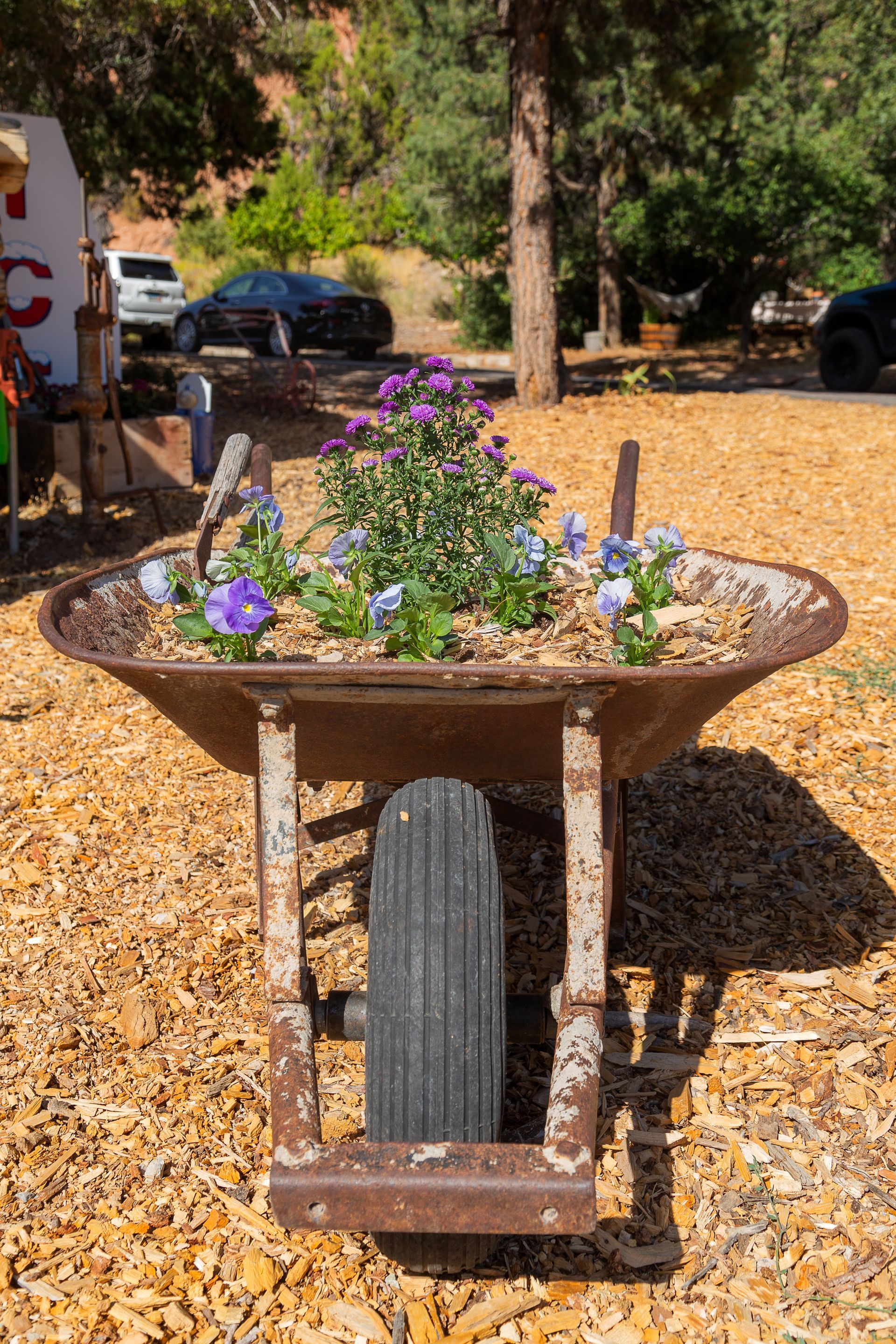 A wheelbarrow filled with flowers is sitting on the ground.