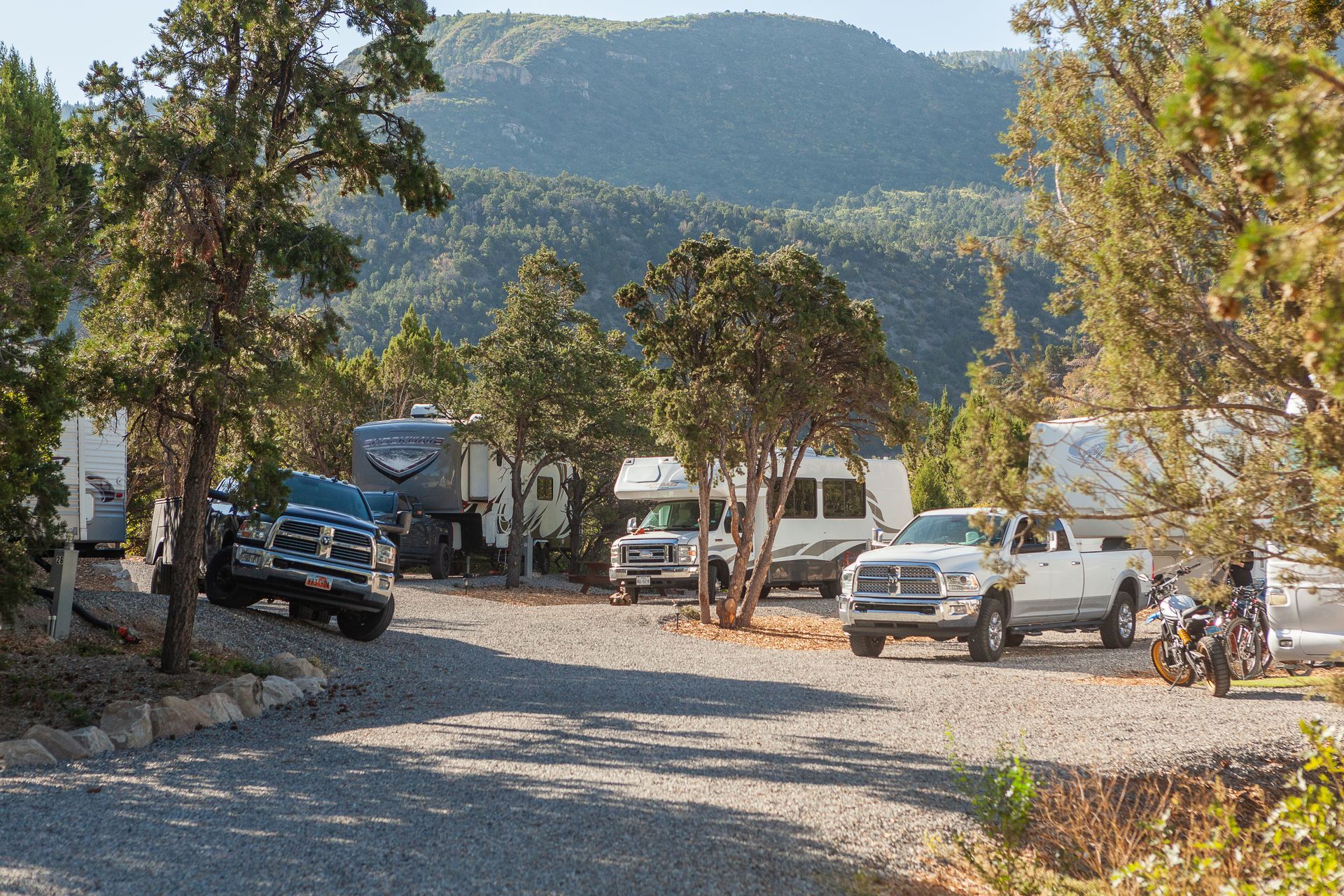 A lot of cars are parked in a parking lot with trees and mountains in the background.