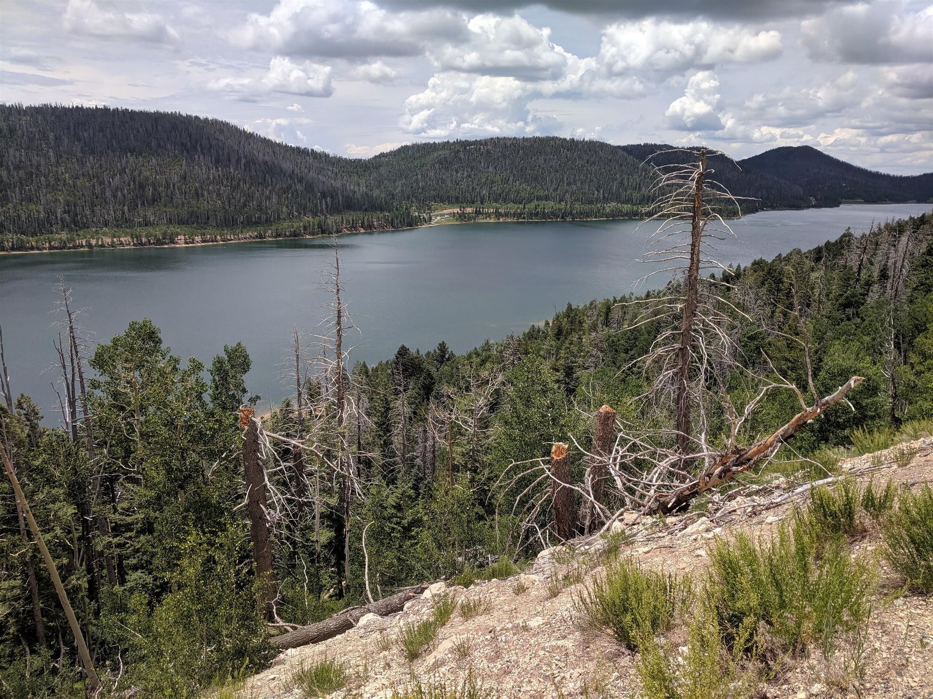 A large body of water surrounded by trees and mountains.