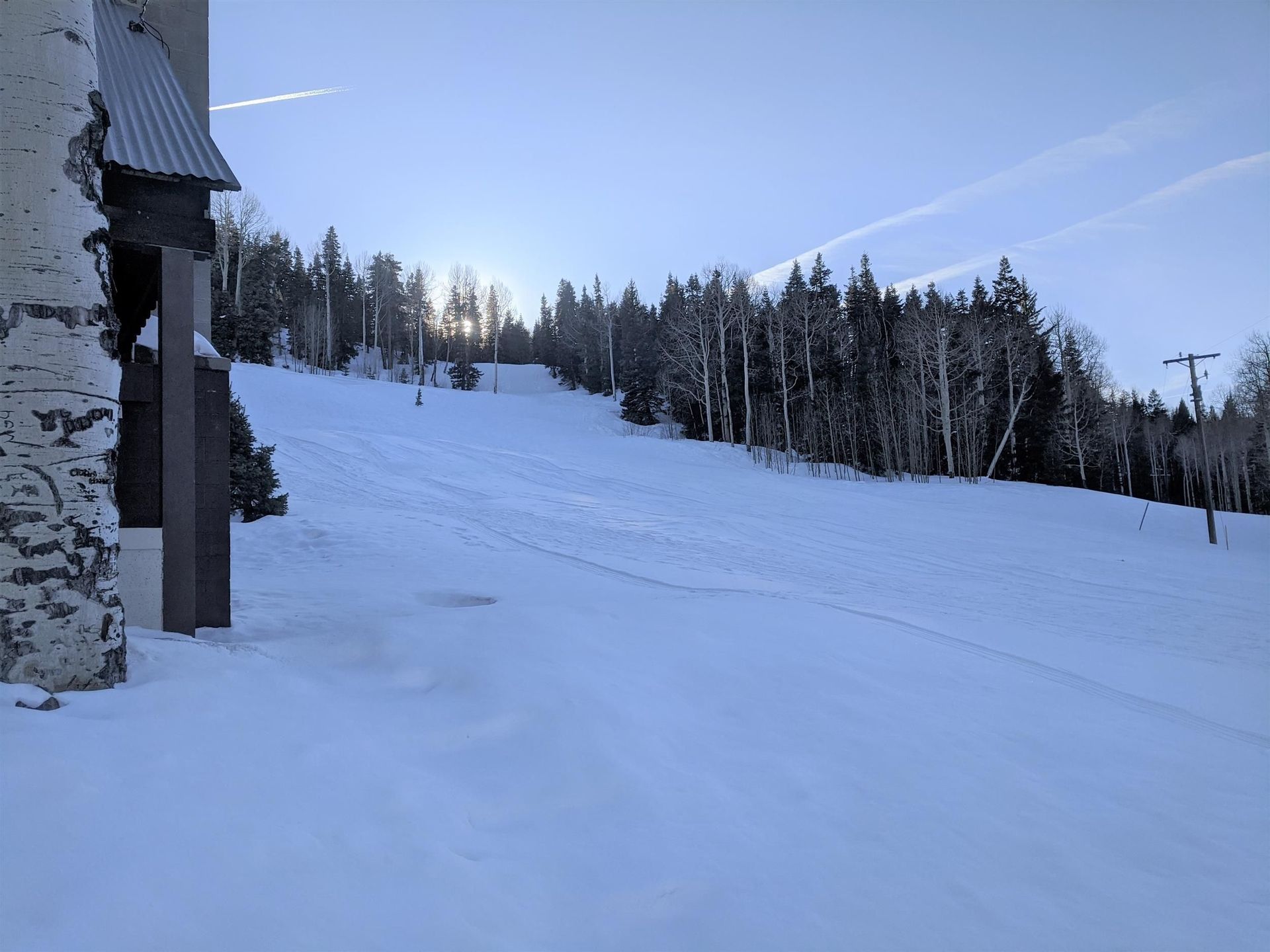 A snowy landscape with trees and a building in the foreground