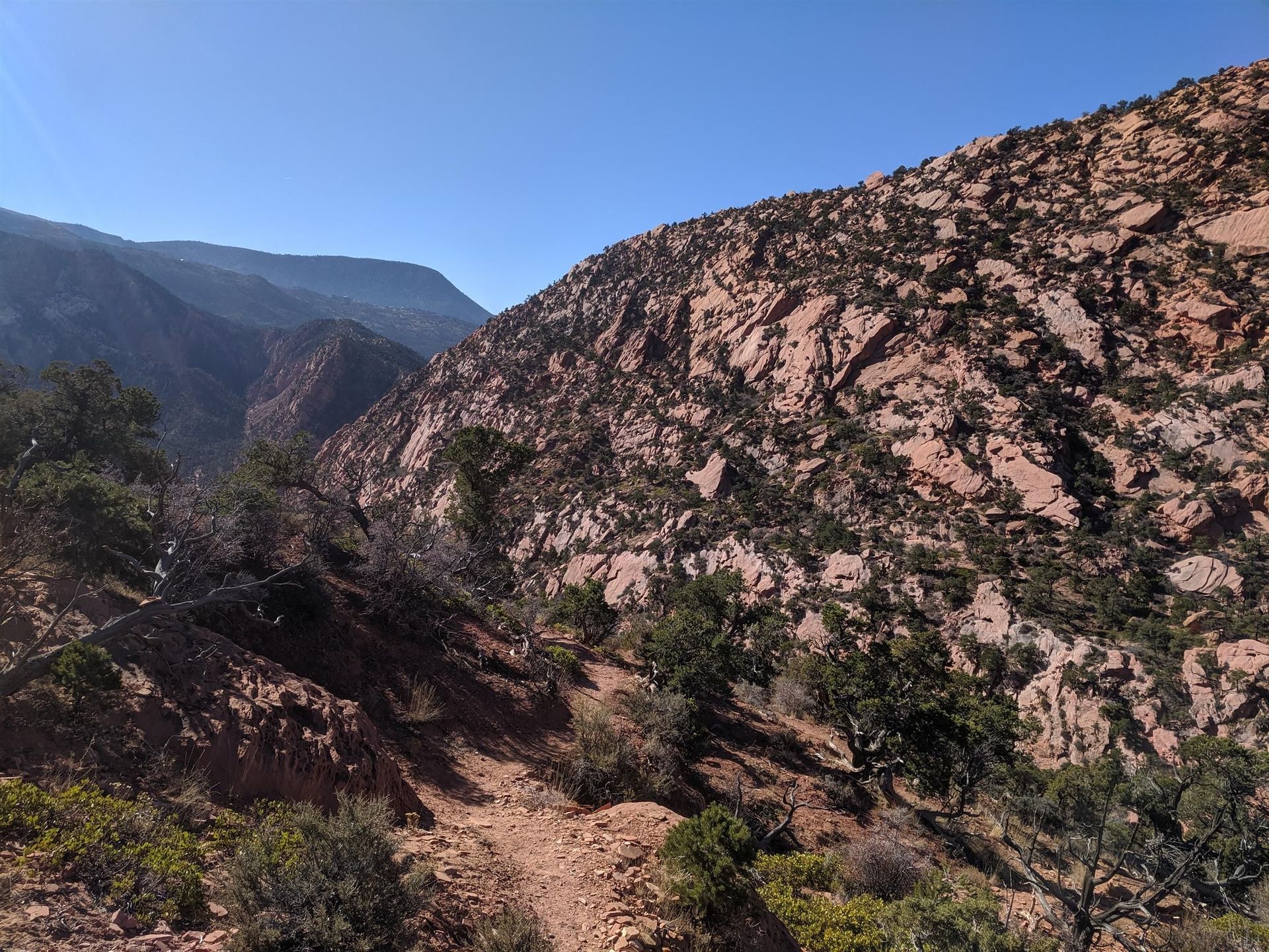 A mountain covered in trees and bushes on a sunny day