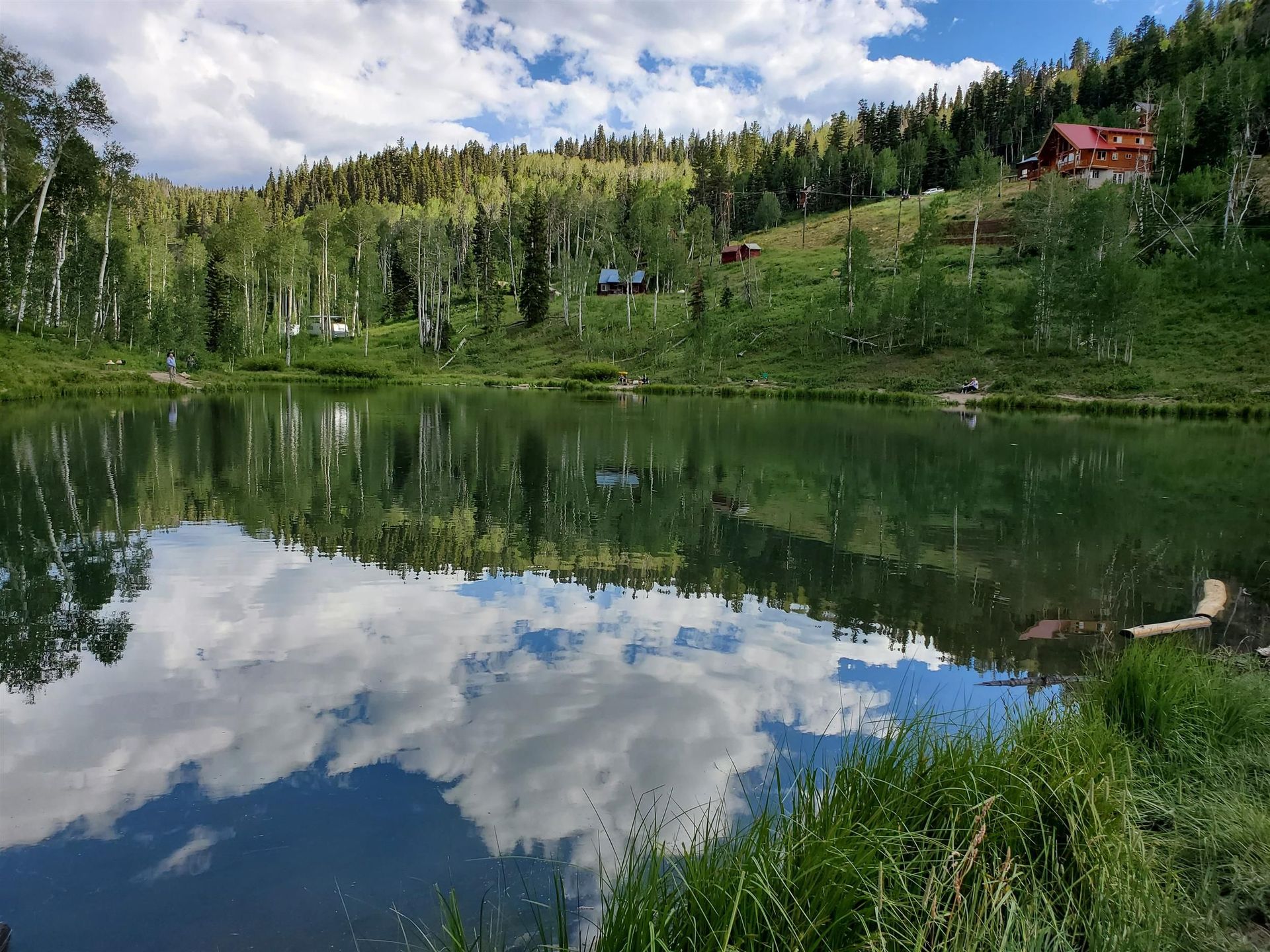 A lake surrounded by trees and grass with a house in the background