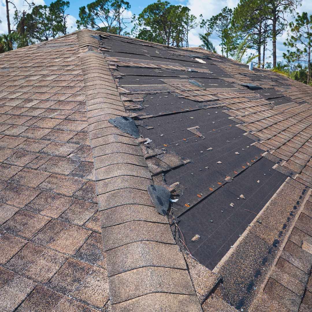 Damaged brown shingle roof with missing sections exposing the black underlayment; trees in the background.