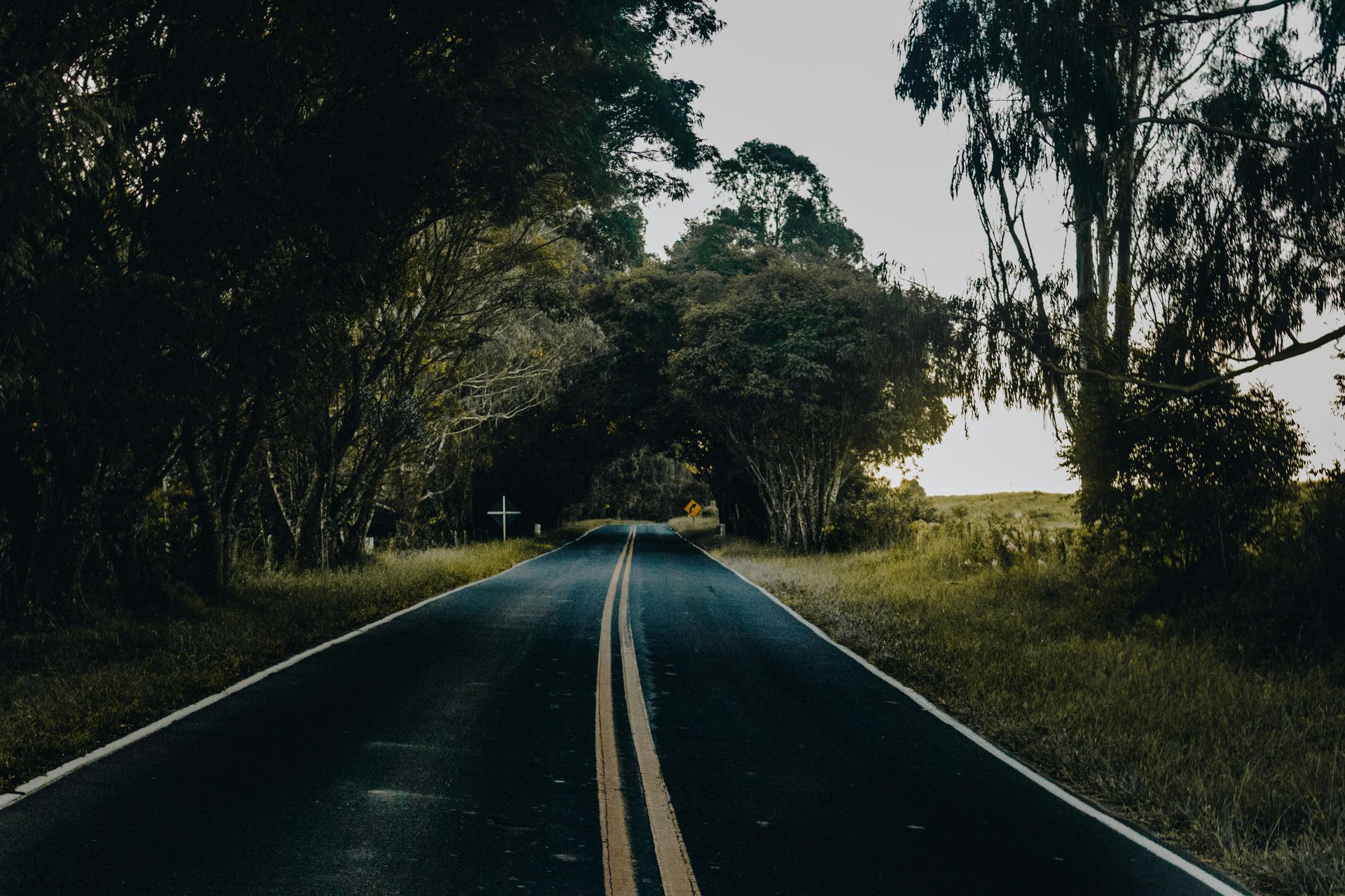 A road with trees on both sides of it