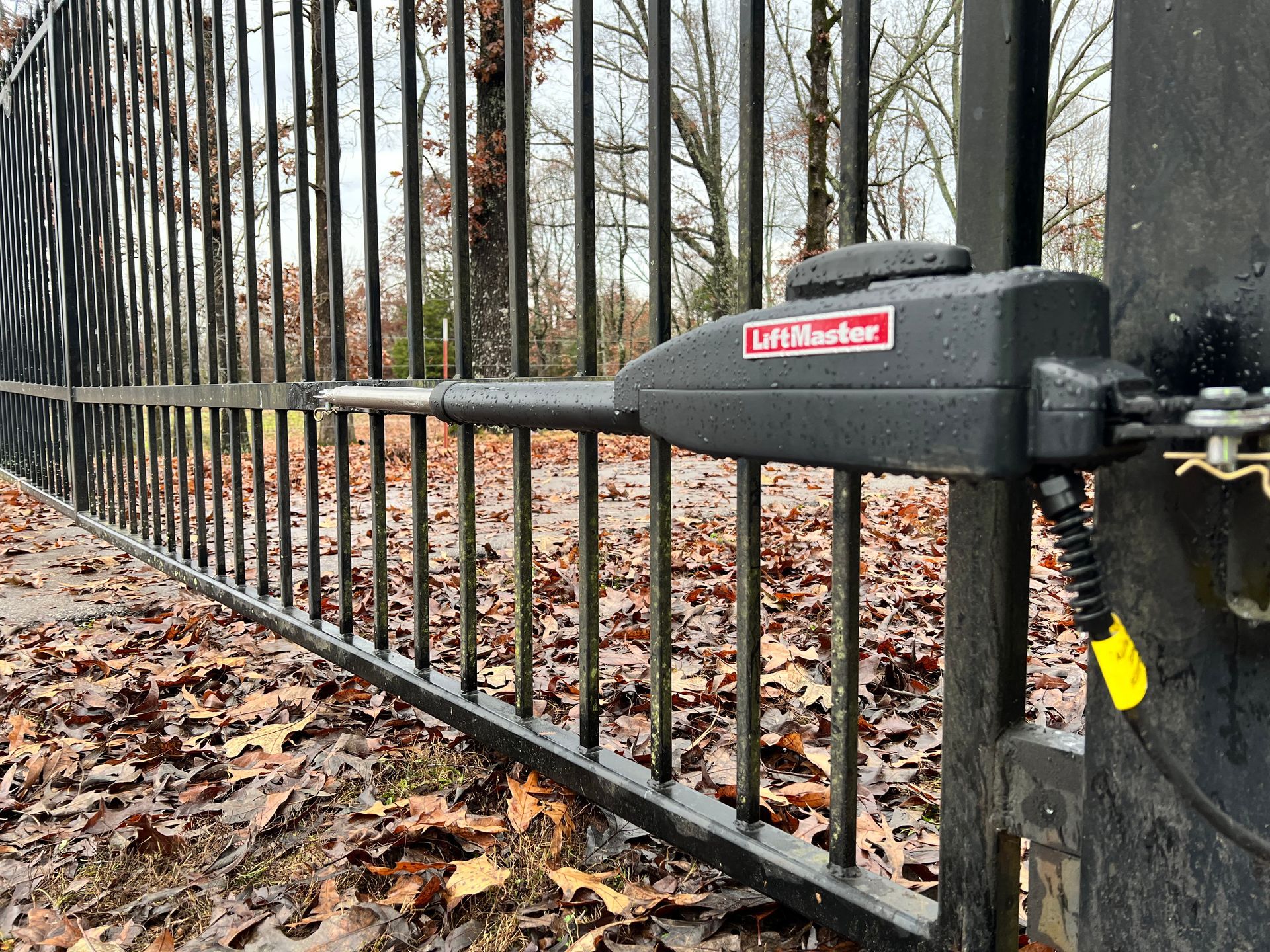 Black metal gate with LiftMaster automatic opener, outdoors.