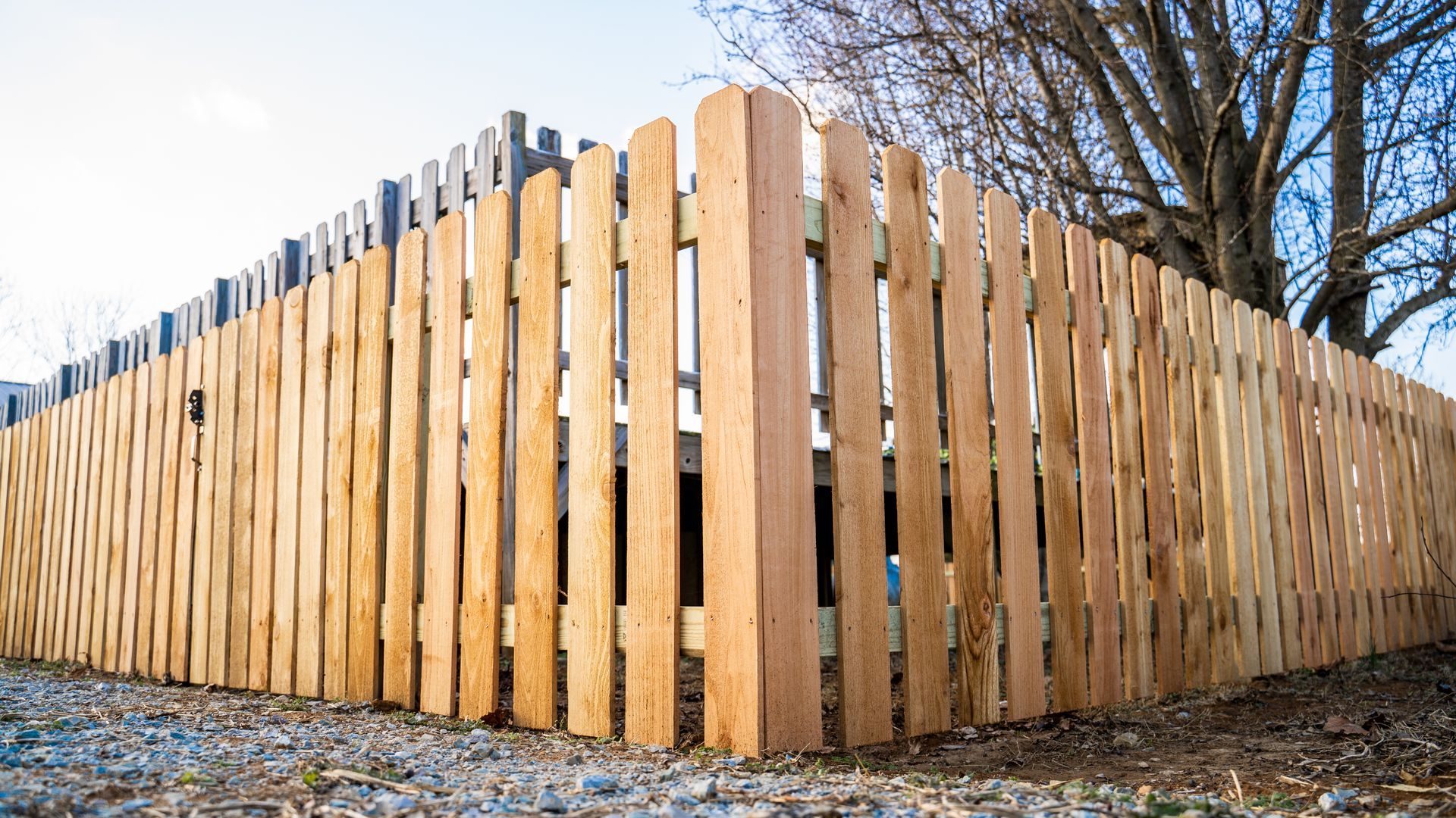 A wooden picket fence with a tree in the background.