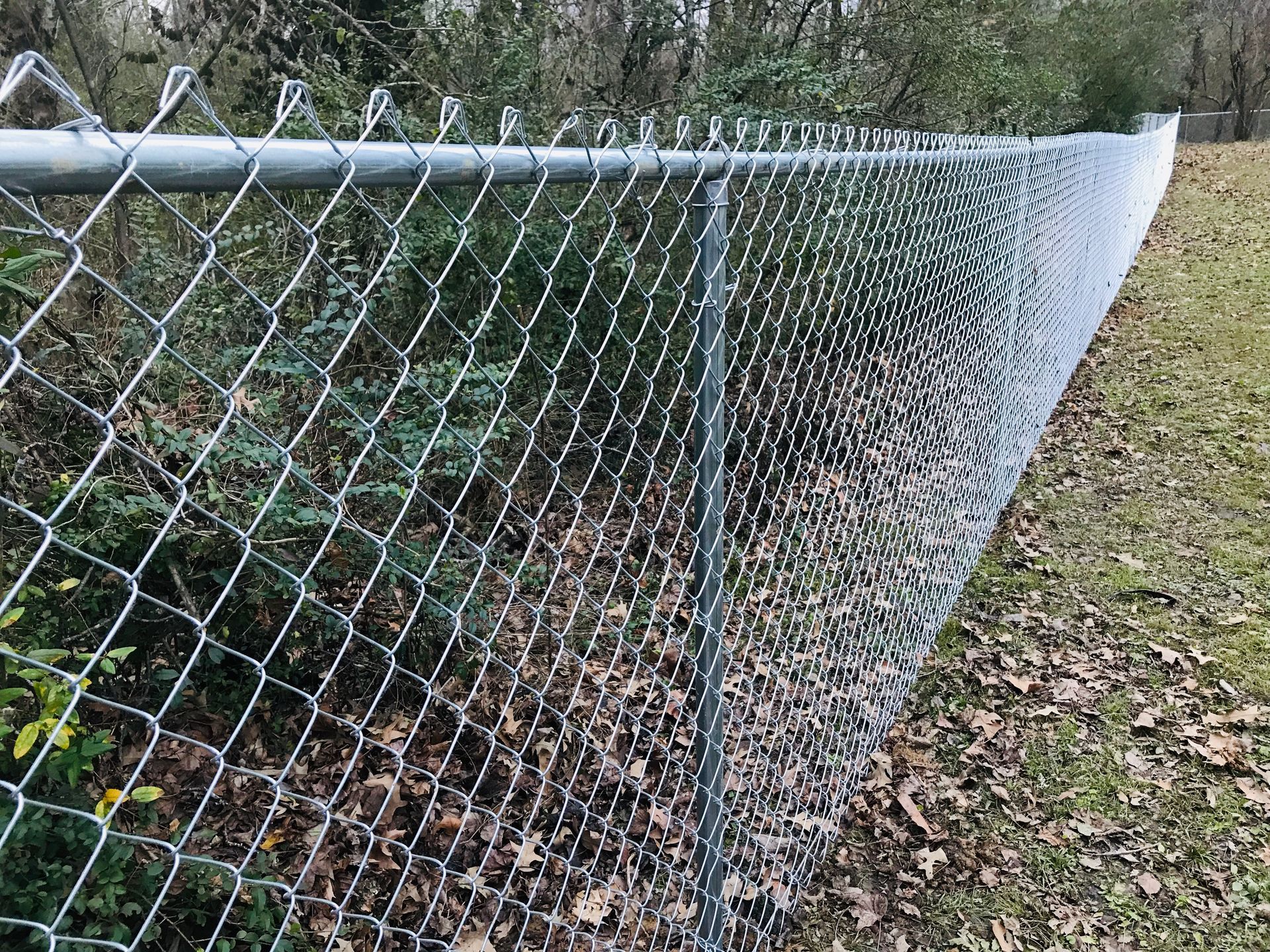 A chain link fence is surrounded by trees and leaves in a field.