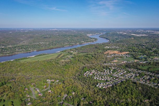 Construction site with yellow dump trucks and excavators loading dirt, trees in the background.