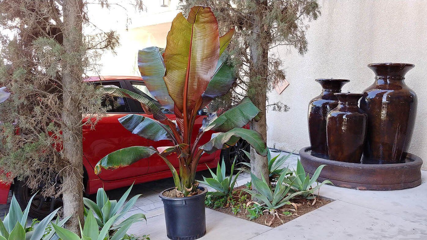 carmel heights exterior