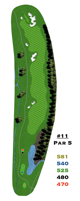 A picture of a golf course with the number 11 on it