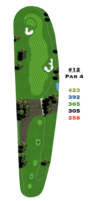 A drawing of a golf course with the number 12 on it