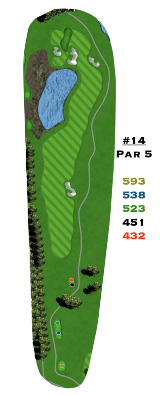 A drawing of a golf course with the number 14 on it