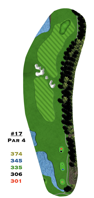 A picture of a golf course with the number 17 on it