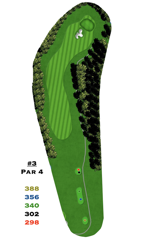 A picture of a golf course with the number 3 on it